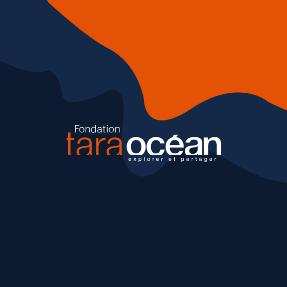 Cap sur les objectifs de développement durable