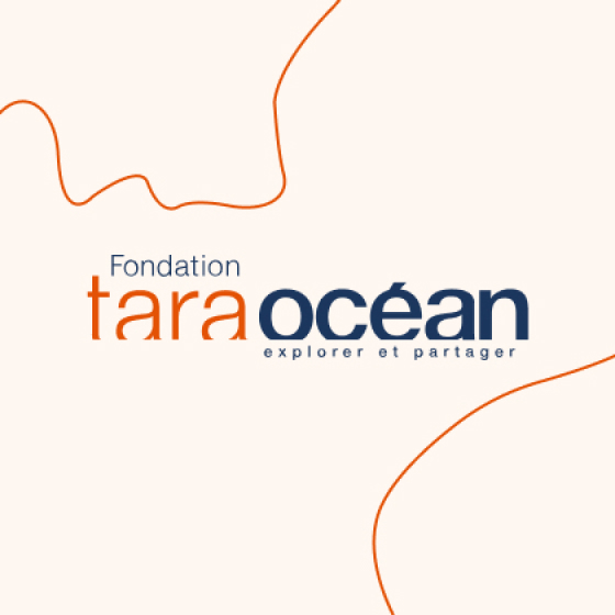 Call for Applications « Art for the Ocean » Residency