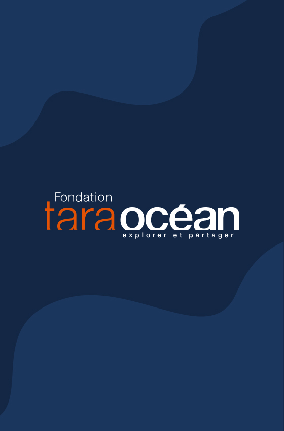 Visioconférence 2025 « L’Océan plancton » par Laura Schweibold pour les 11-14 ans