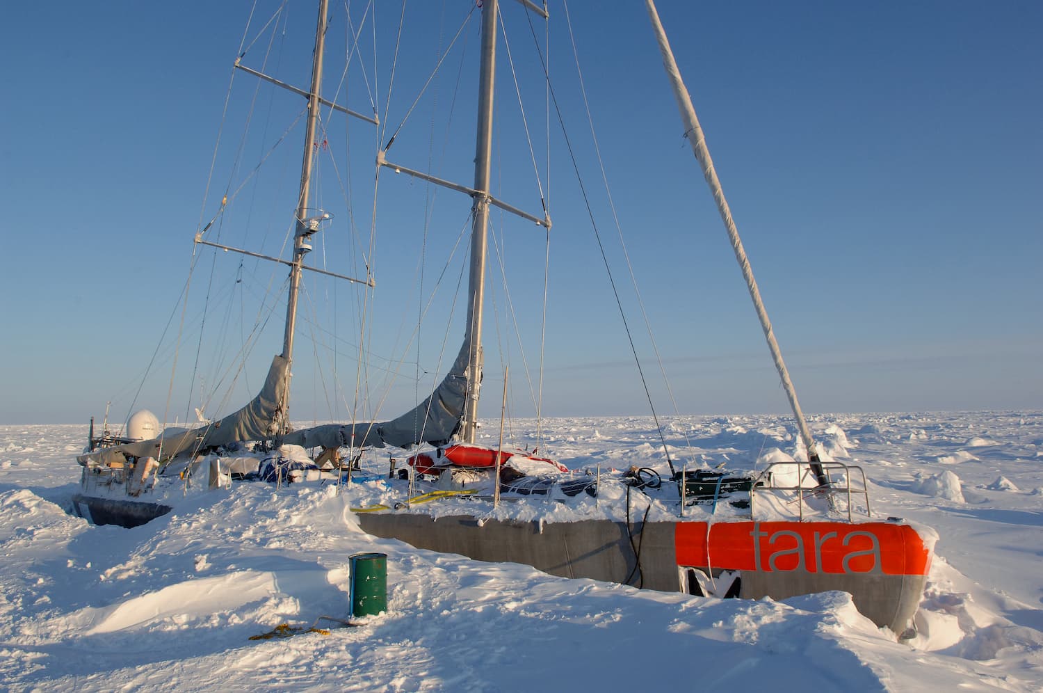 Tara dans la banquise