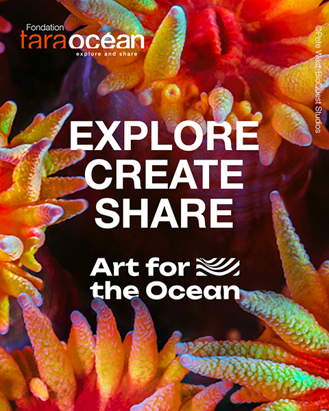 Appel à résidence 2025