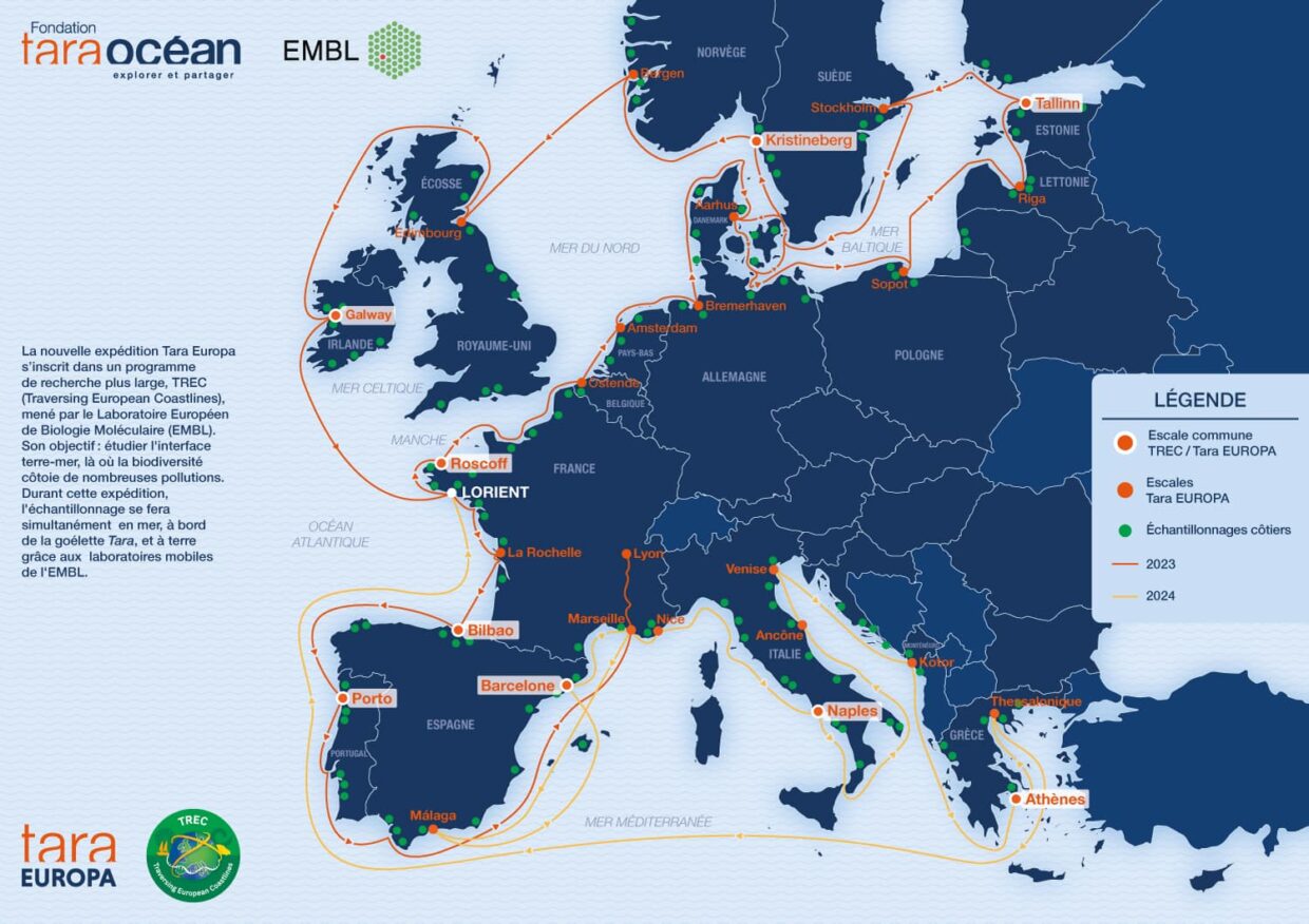 Carte Tara Europa 2024