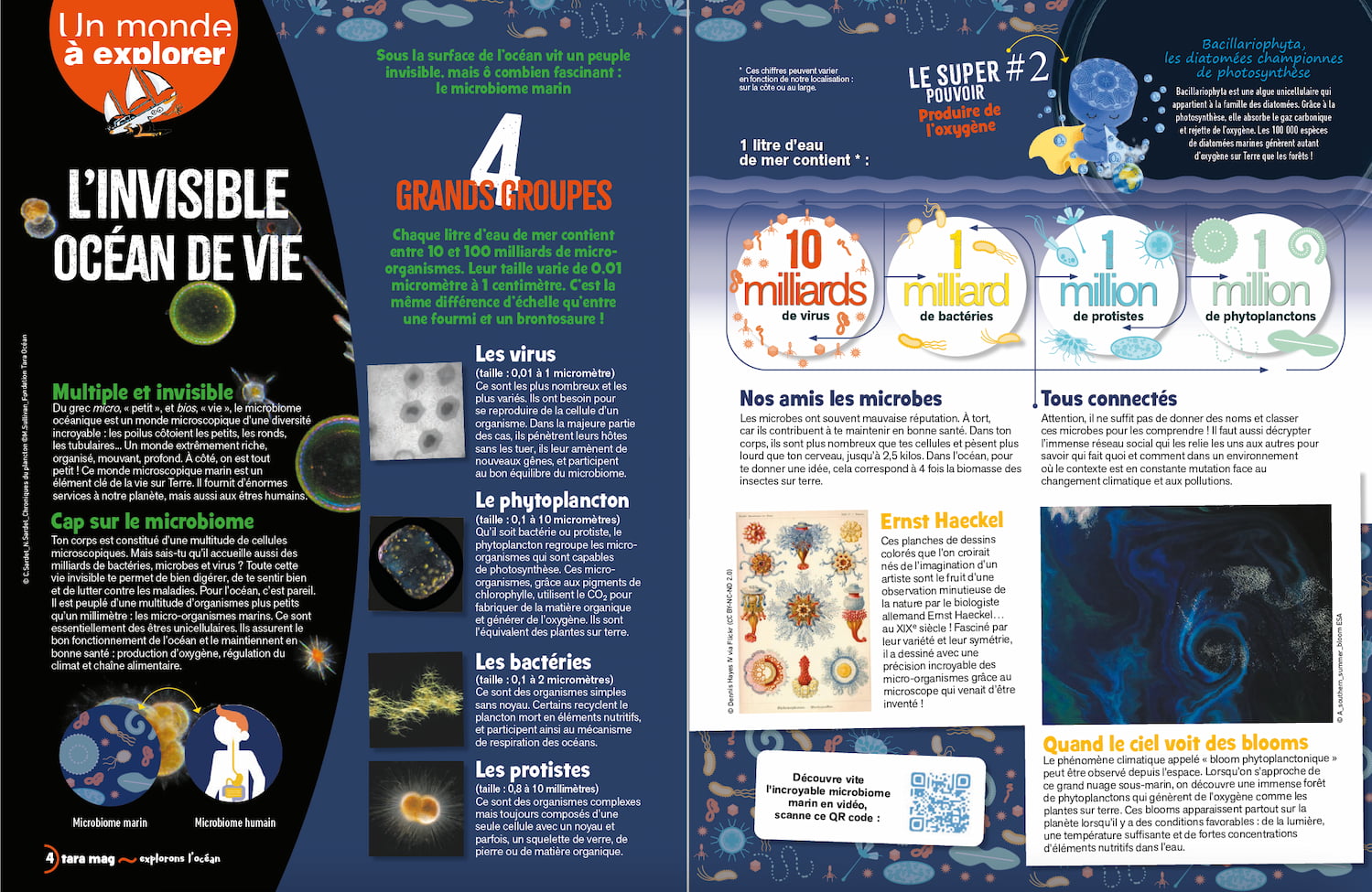 Double page du tara le Mag 2