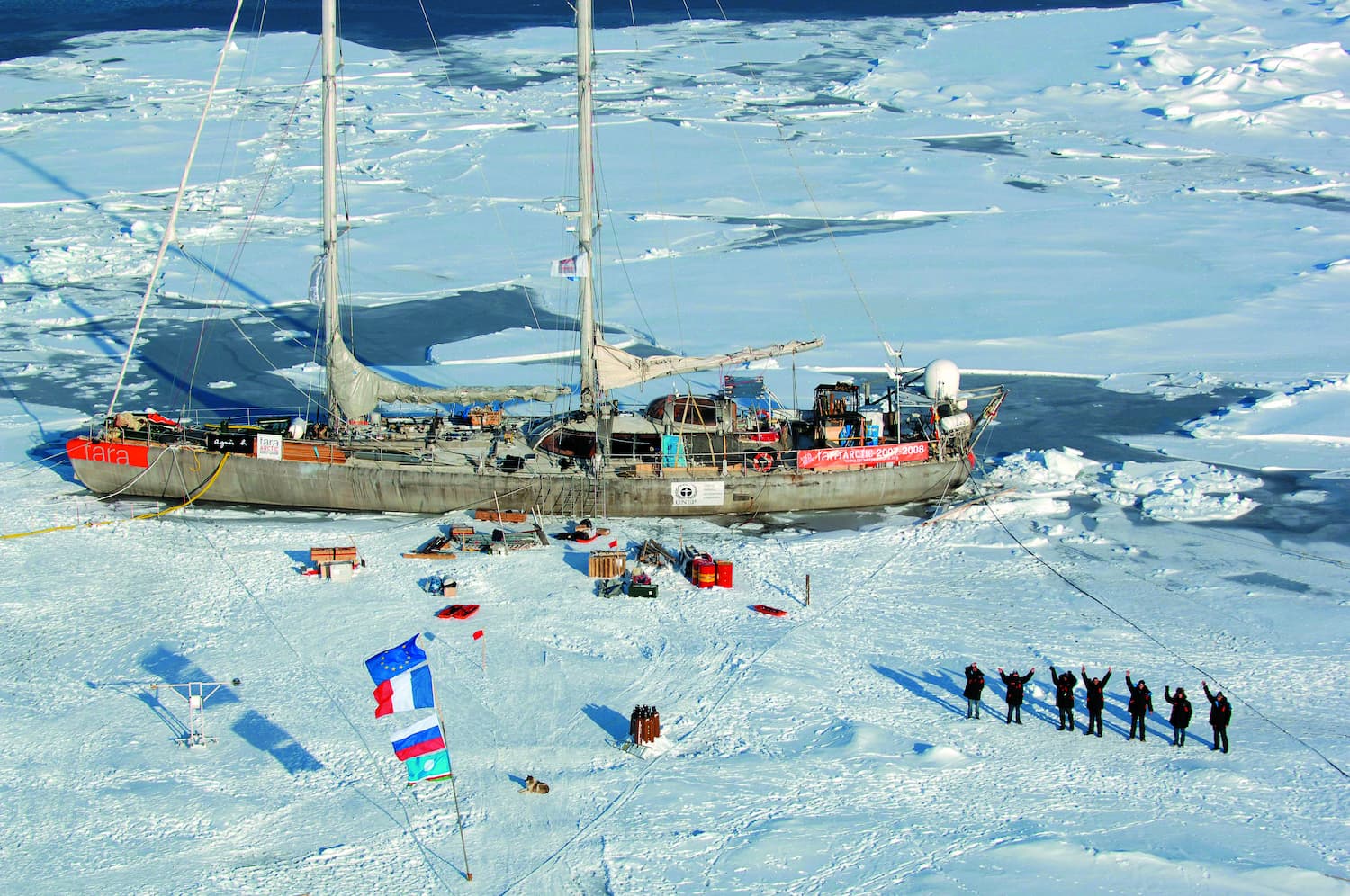 La vie des taranautes s'organise sur la banquise.