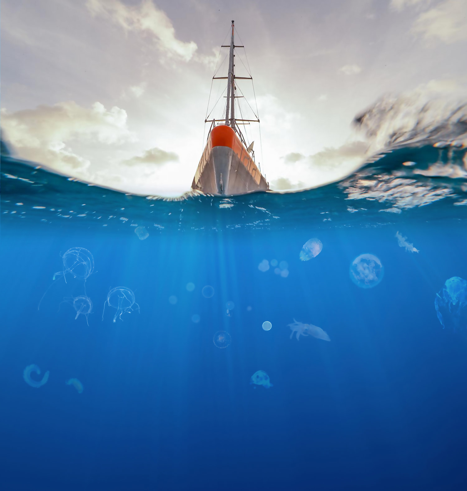 La goélette tara naviguant dans des eaux à la biodiversité invisible.