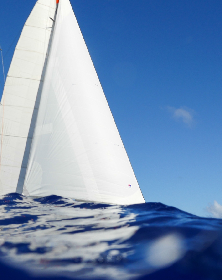 Tara en navgation lors de la mission tara pacific