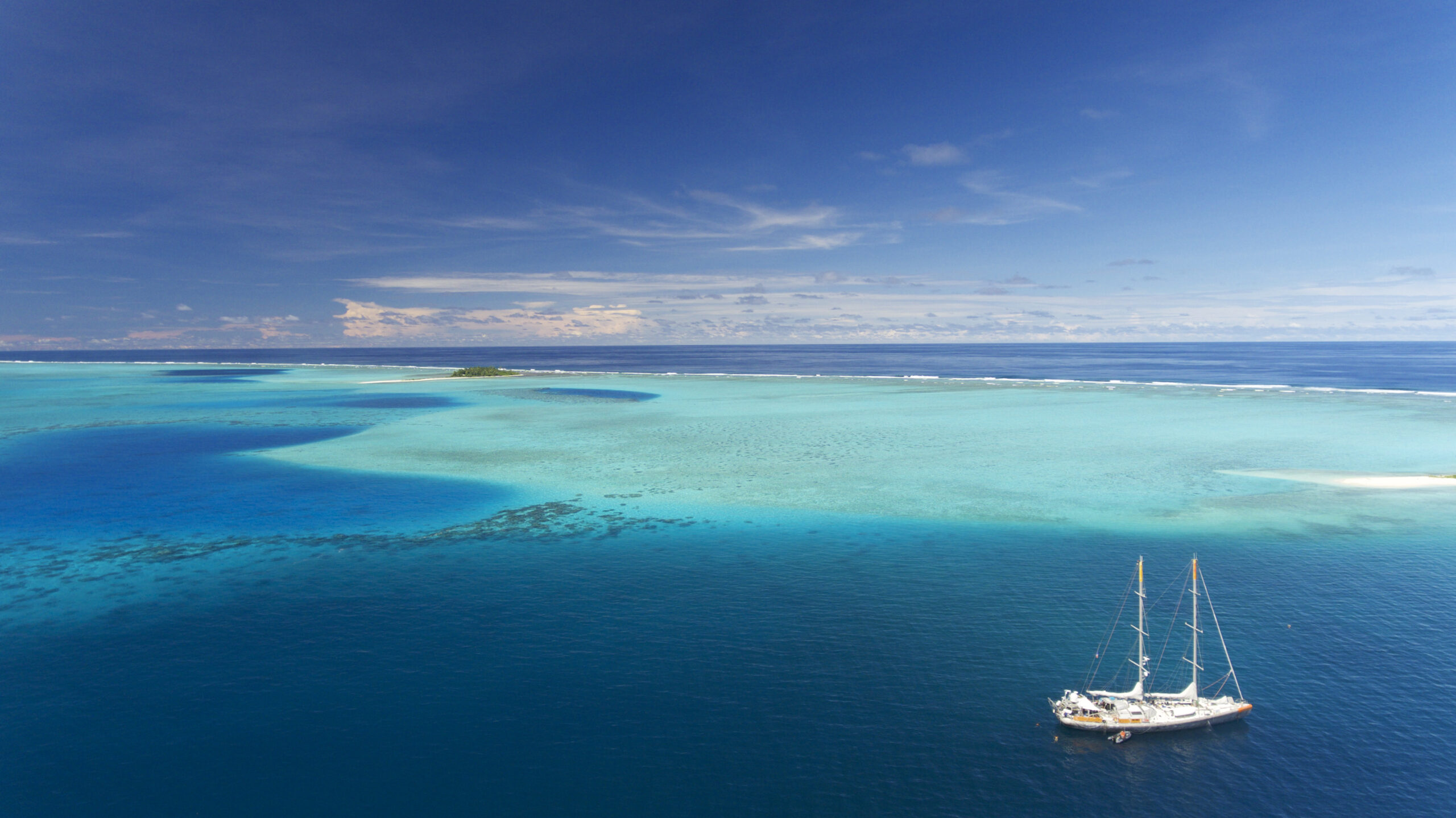 Tara Pacific : 2 ans et demi d’aventure à la découverte des coraux