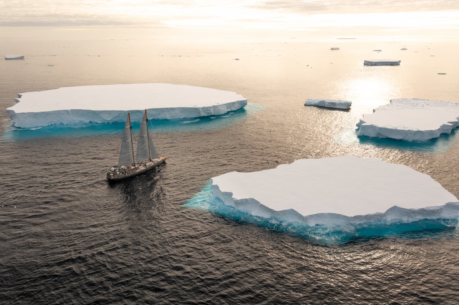 Antarctique : Tara sous voiles devant l'iceberg Tasmania