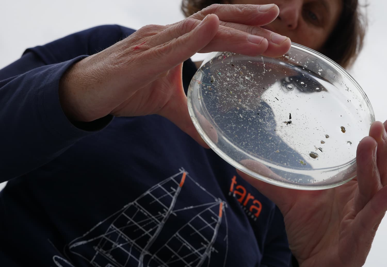 Echantillon d'eau de mer contenant du plastique