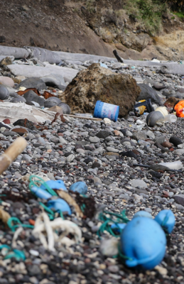 Des déchets sur une plage