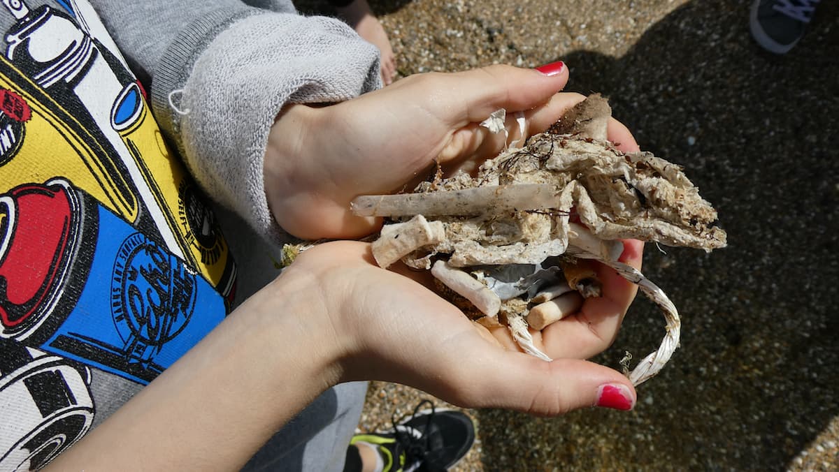 Ramassage de déchets avec des scolaires