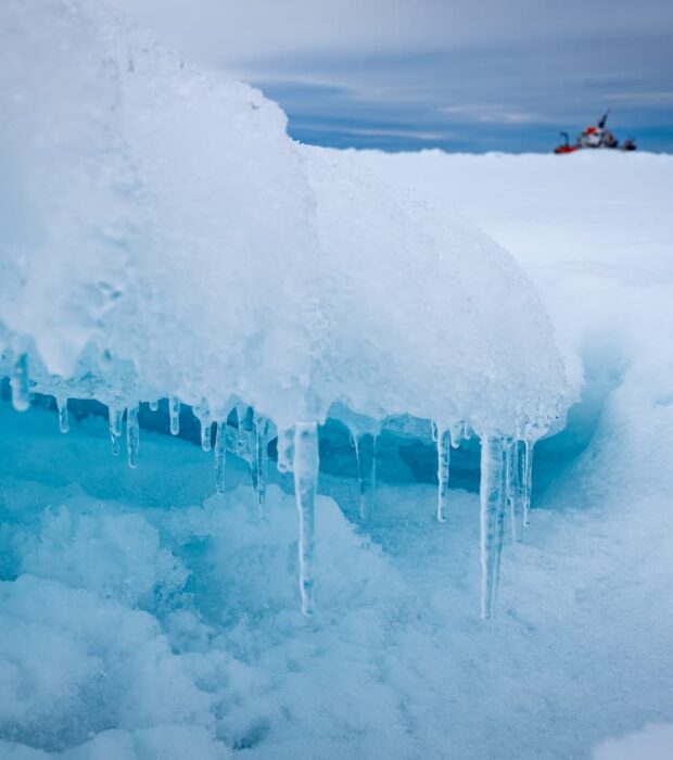 Zoom sur la glace arctique