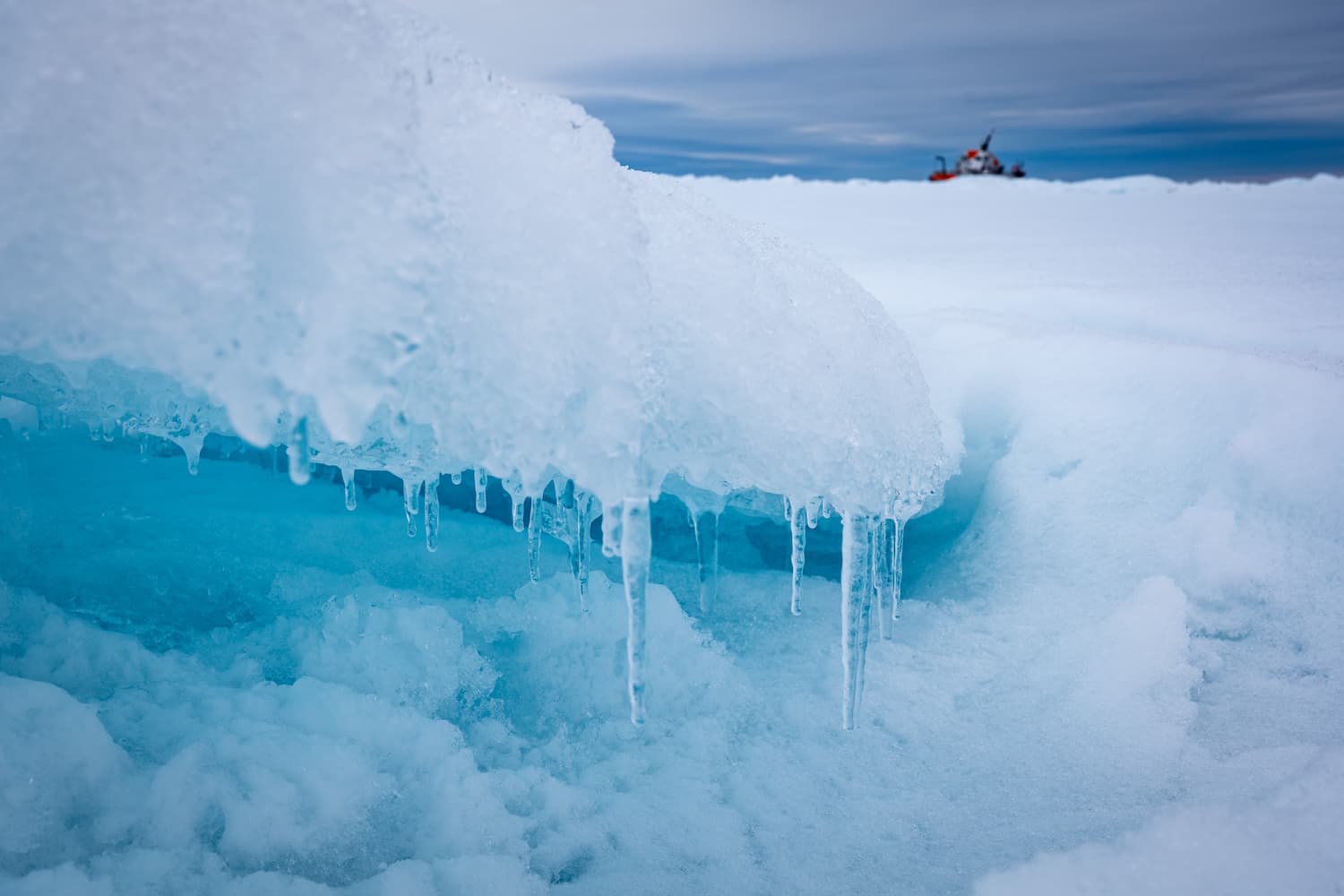 Zoom sur la glace arctique