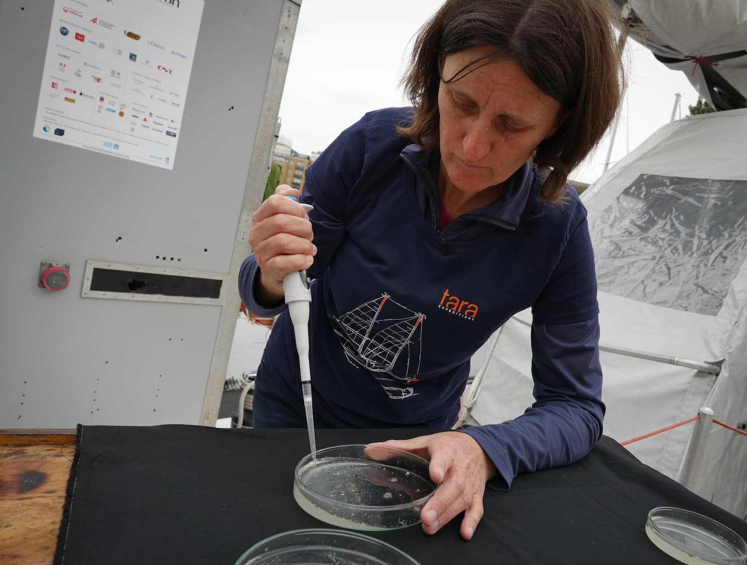 Analyse d'échantillon de plastique