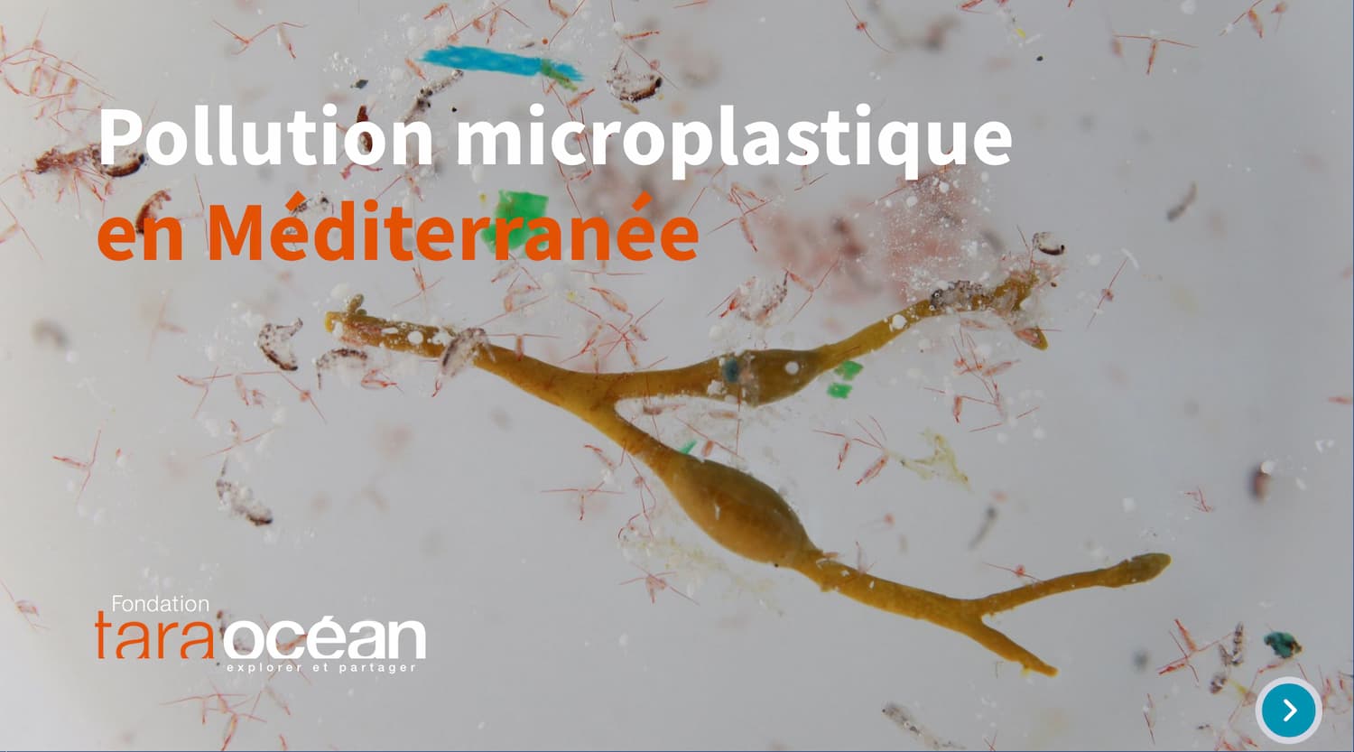 Kit de données pédagogiques