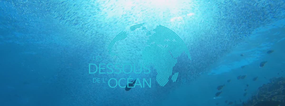 Les dessous de l'Océan
