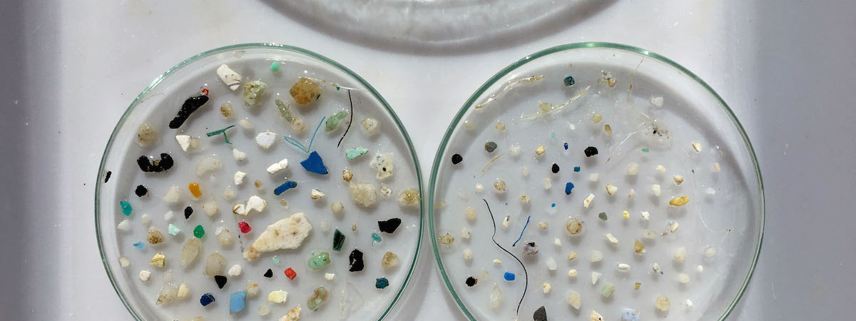 Echantillons de plastique