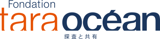 Logo Tara Japon