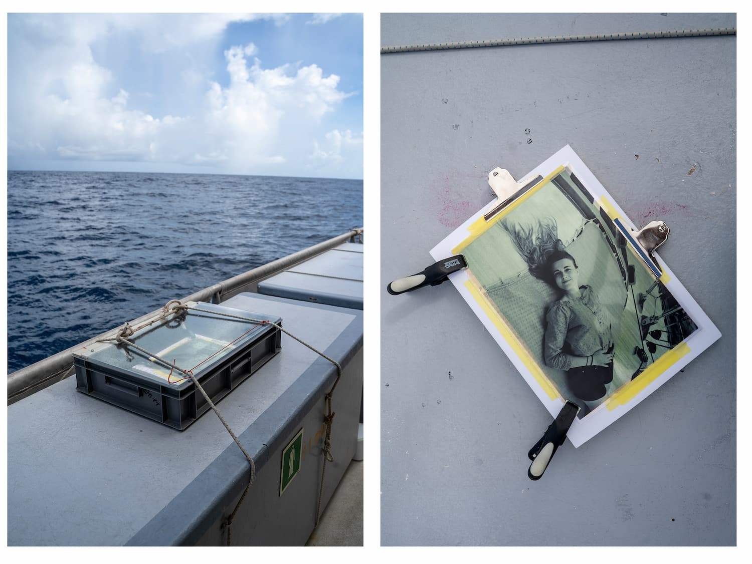 Composition de Leslie Moquin, anthotypes