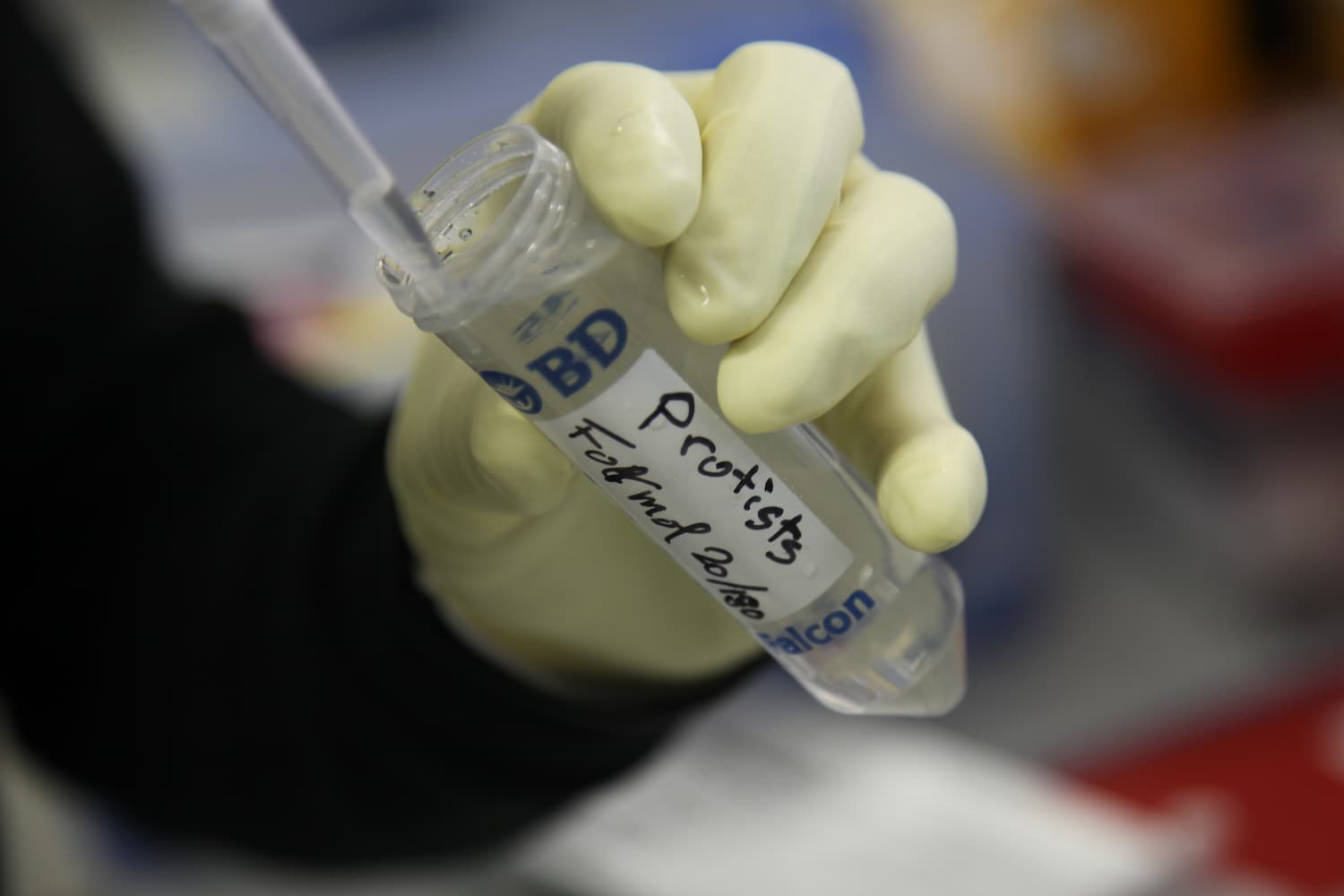 analyse les échantillons prélevés dans l'Océan