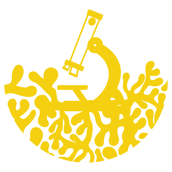 Village des sciences