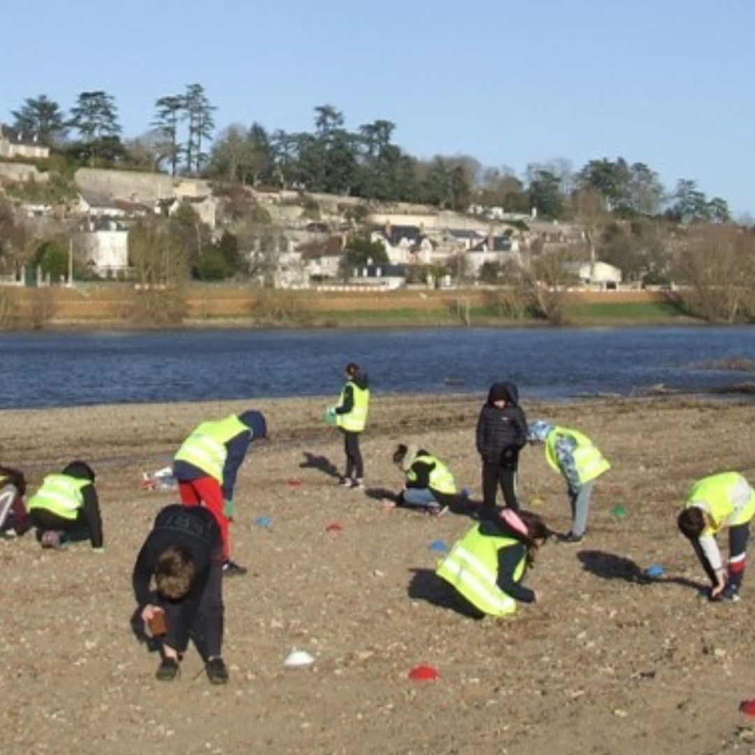 Sortie terrain du collège Corneille de l’académie d’Orléans-Tours