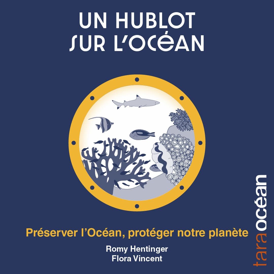 Saison 2 : Hublot sur l'Océan - Protéger l'Océan