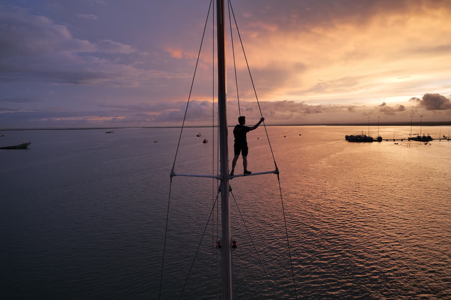 Arrivée Banjul - Louis, marin à bord de Tara dans les mats