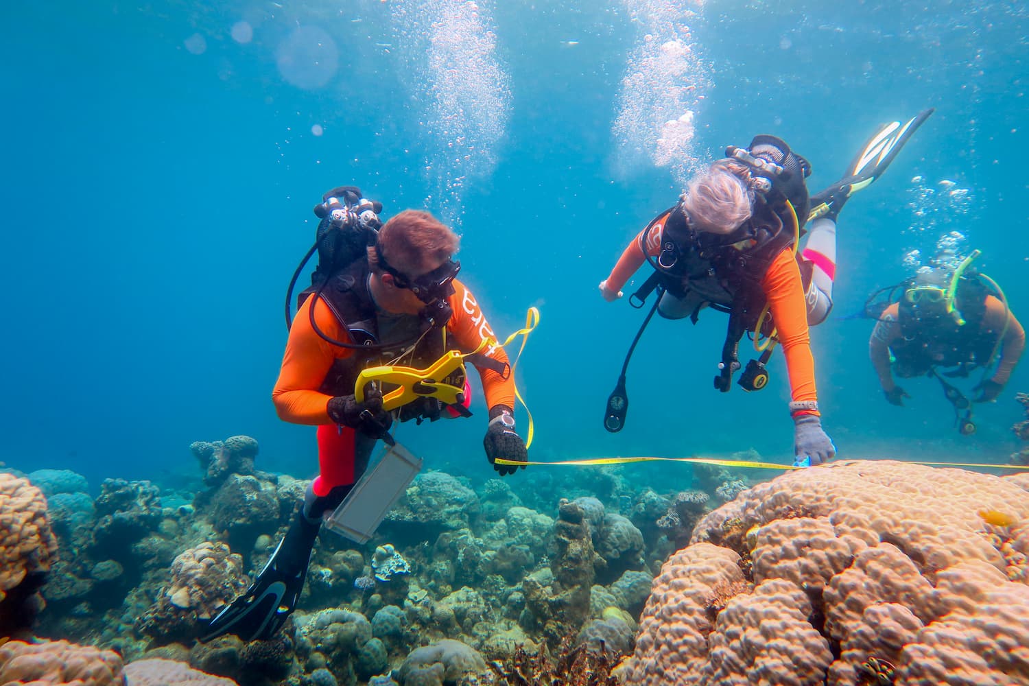Plongeurs scientifiques réalisant des relevés