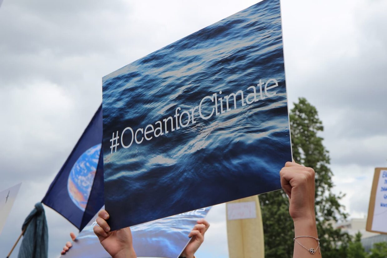 Credit: Terry Ouzara