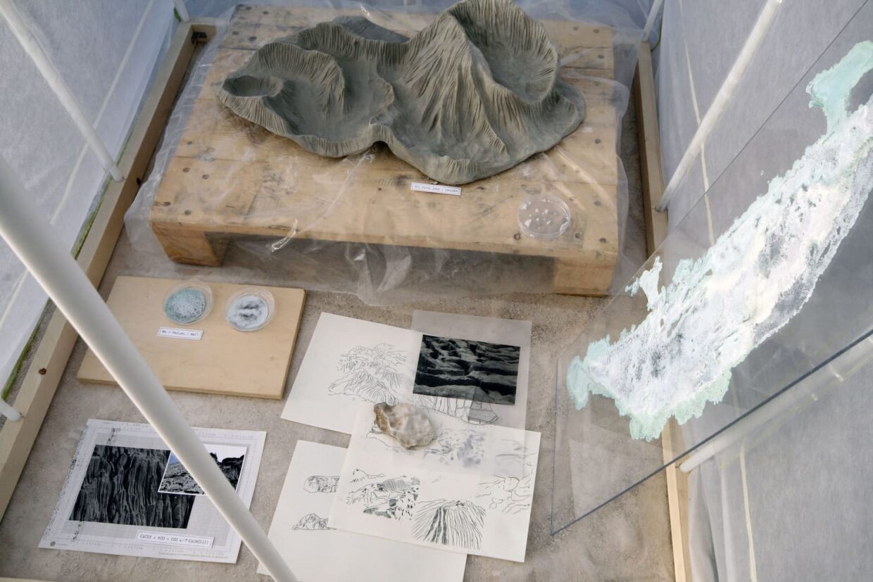 Œuvre de Arianna Pace