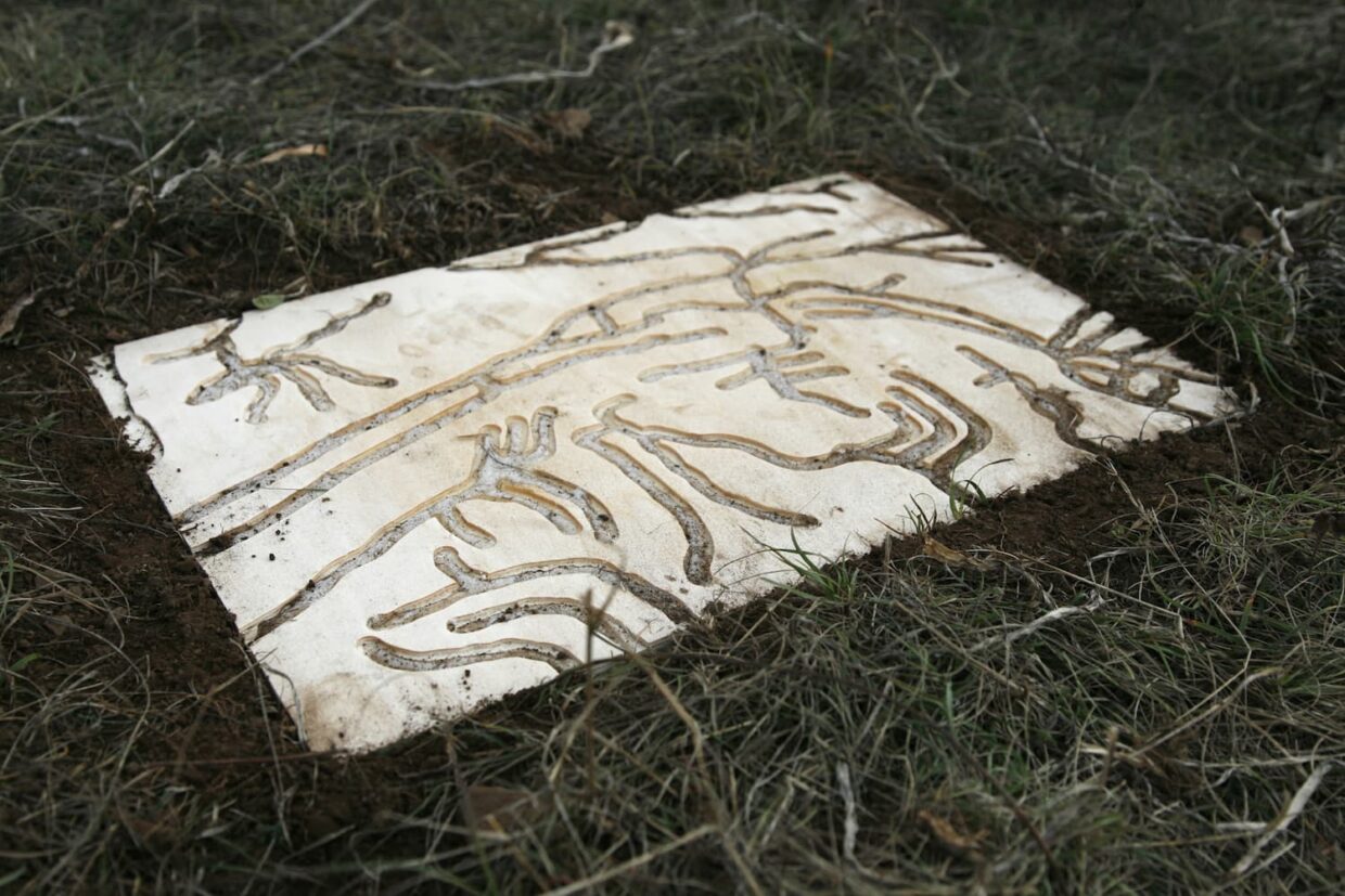 Œuvre de Arianna Pace