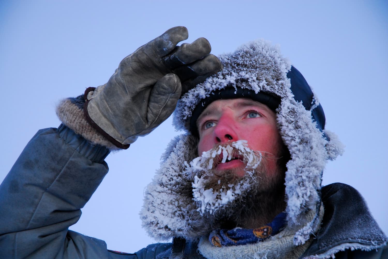 Tara Arctic : portrait