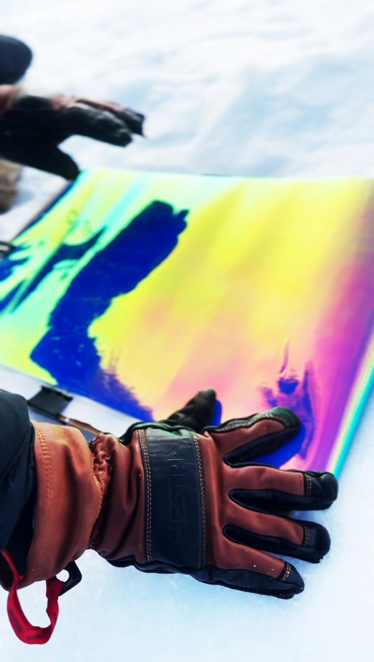 Arctique par Laure Winants