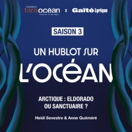 Arctique: eldorado ou sanctuaire ?