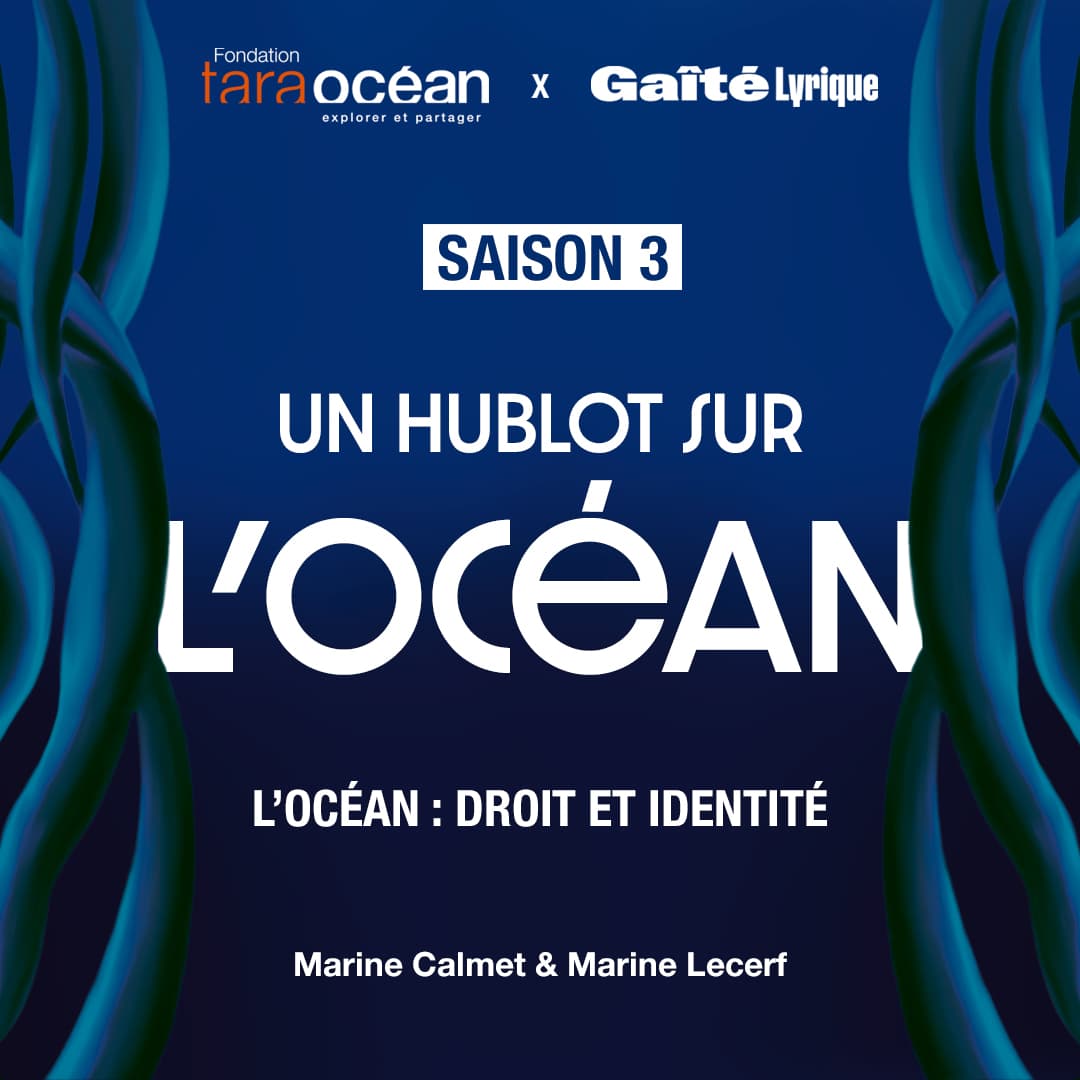 L'Océan: droit et identité