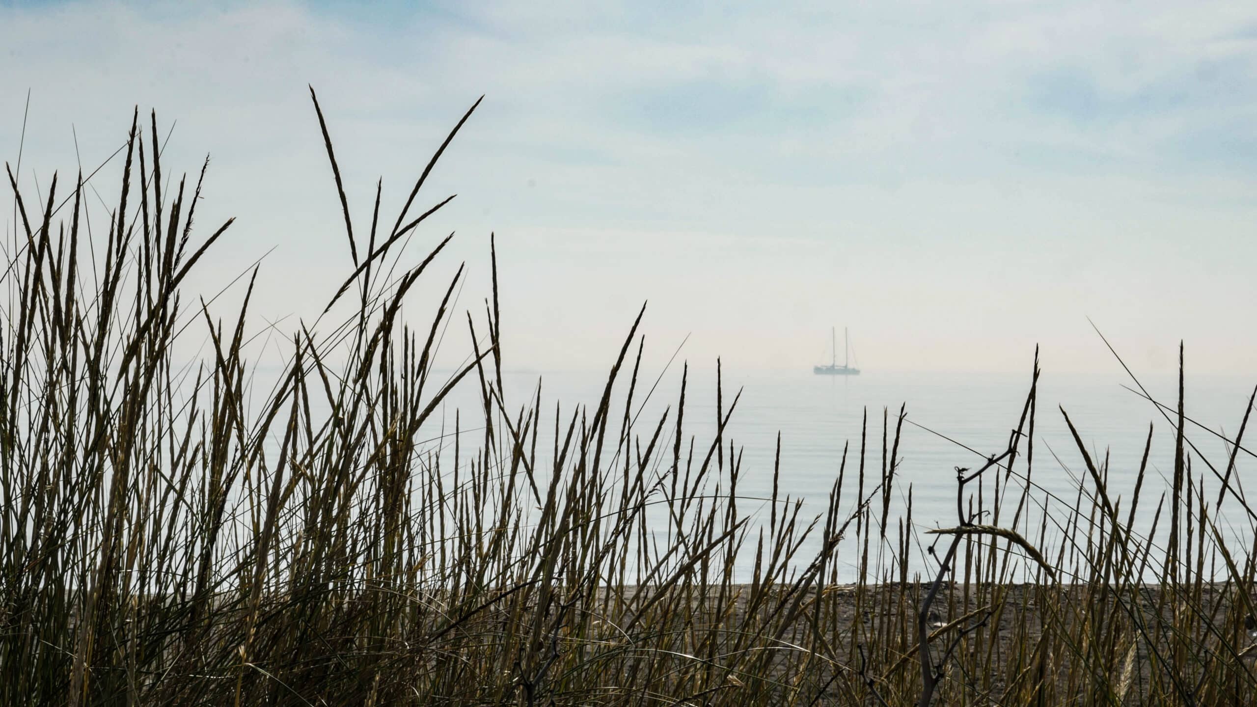 Tara - mer Adriatique