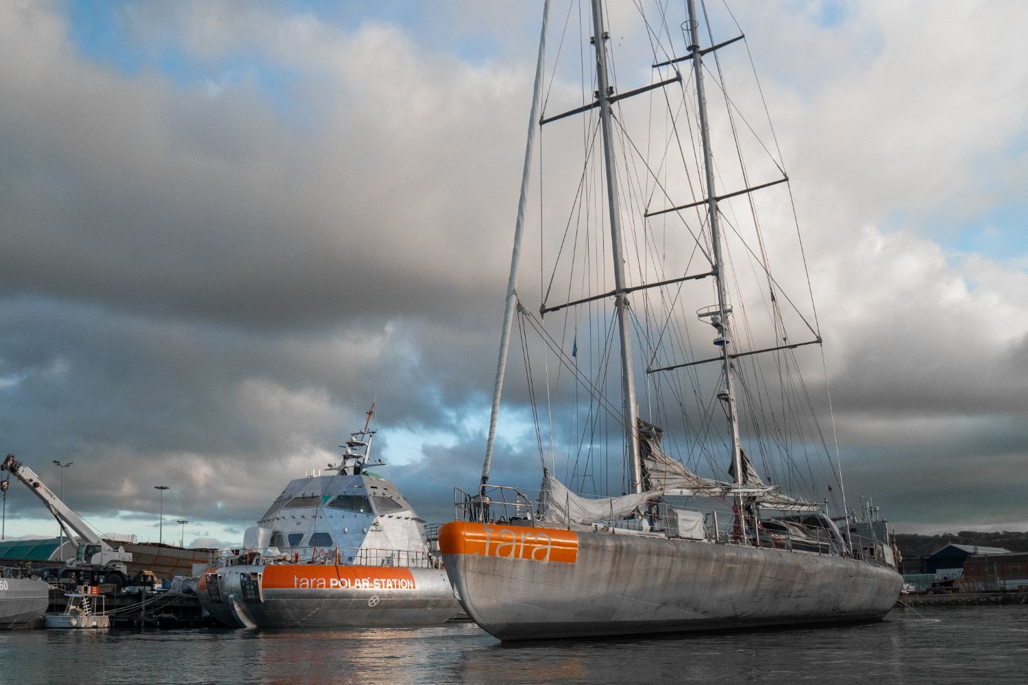 1ere rencontre en tre Tara et Tara Polar Station