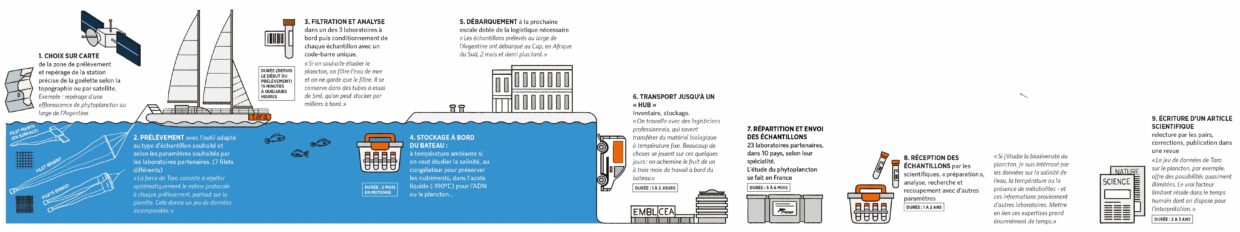 Parcours de l'échantillon de Tara au laboratoire