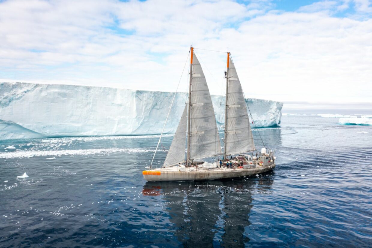 L'équipage de la goélette Tara en navigation sous voiles dans l'antarctique