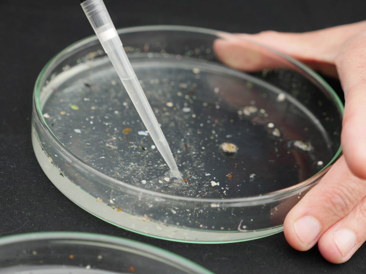 Echantillons de microplastiques prélevés dans la Tamise