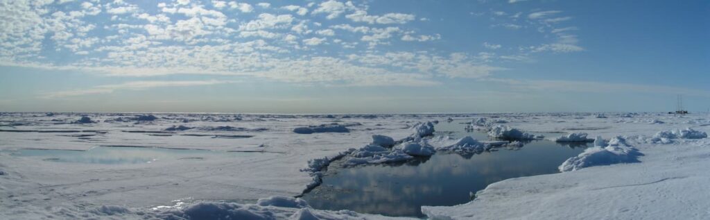 La banquise arctique
