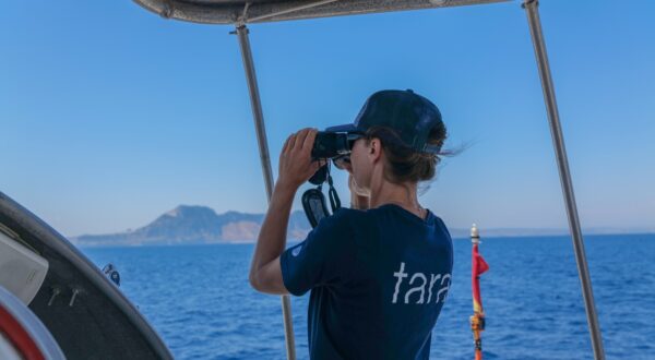 Emmanuelle Bily, marin sur la goélette Tara, s’aide des jumelles ©️Clémentine Benac - Fondation Tara Ocean