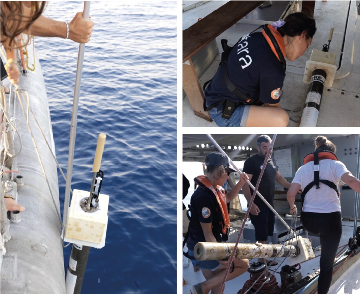 Récupération d’une balise Argo sur la goélette Tara©️Clémentine Benac - Fondation Tara Ocean