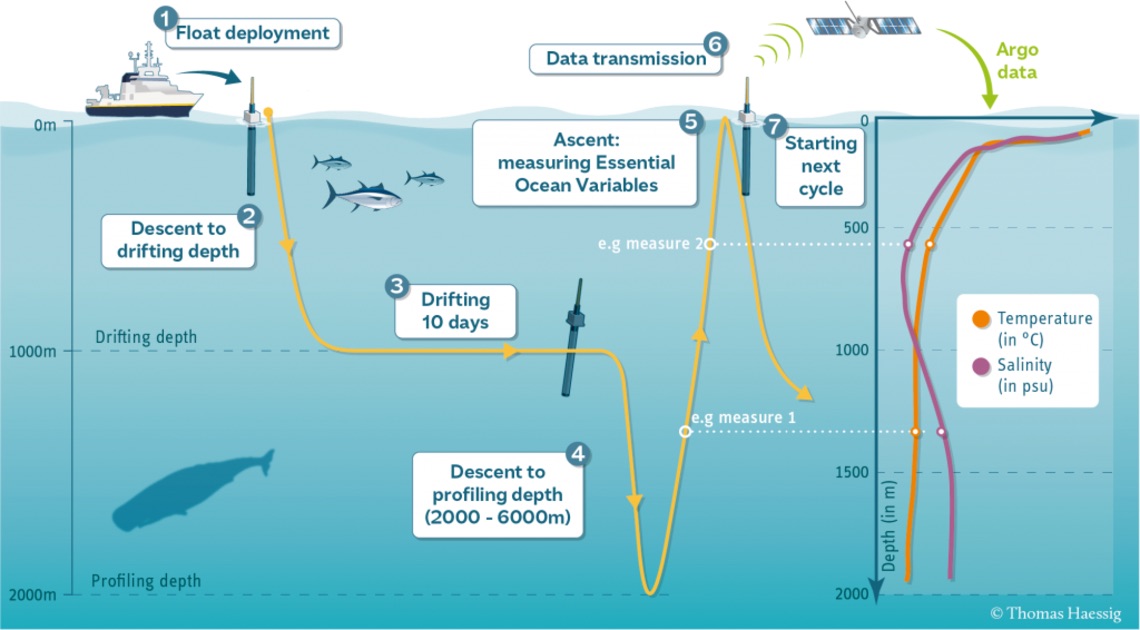 Schéma de transmission de données Argo © Argo France
