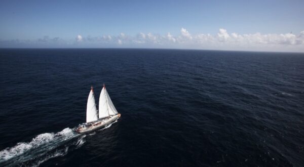 Goélette Tara ©Francis Latreille - Fondation Tara Océan