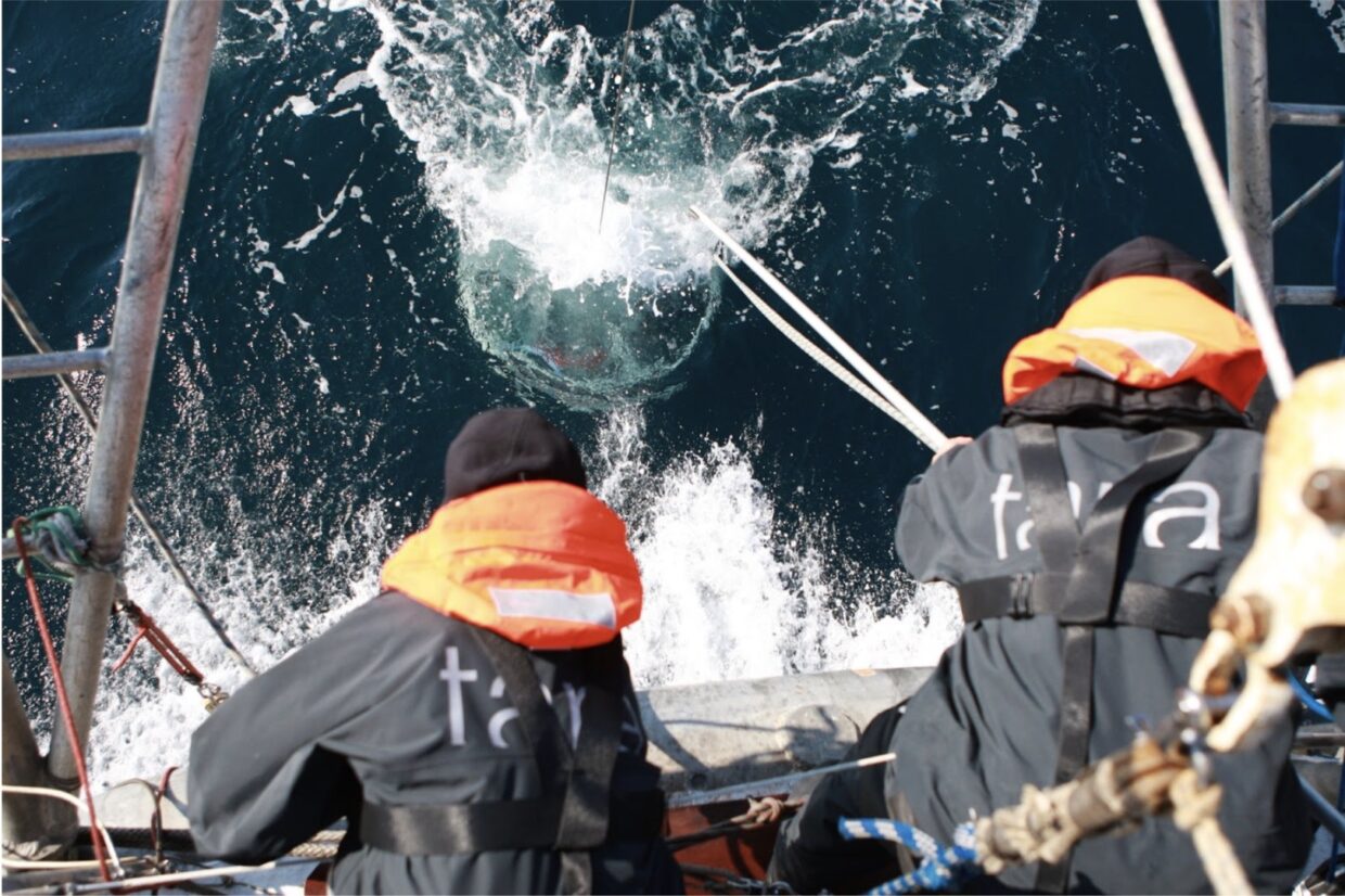 Remontée de la rosette sur la goélette Tara ©A.Deniaud - Fondation Tara Océan