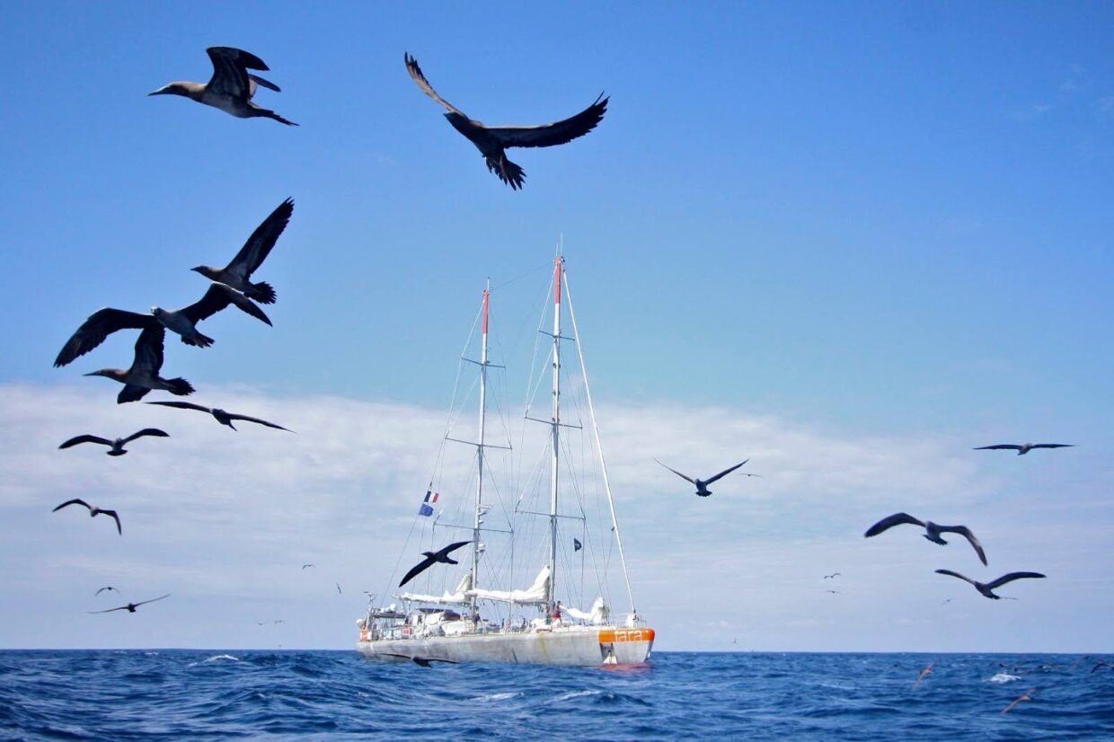La goélette Tara à Clipperton ©François Aurat - Fondation Tara Ocean