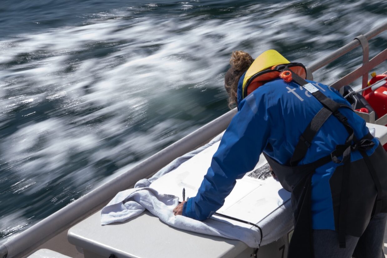 Artiste Yann Bagot en résidence © Anne-Kristell Jouan - Fondation Tara Océan